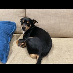 Meet your Posher, Derek